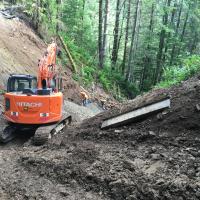Cowlits Valley MSE Steepened Slope wall